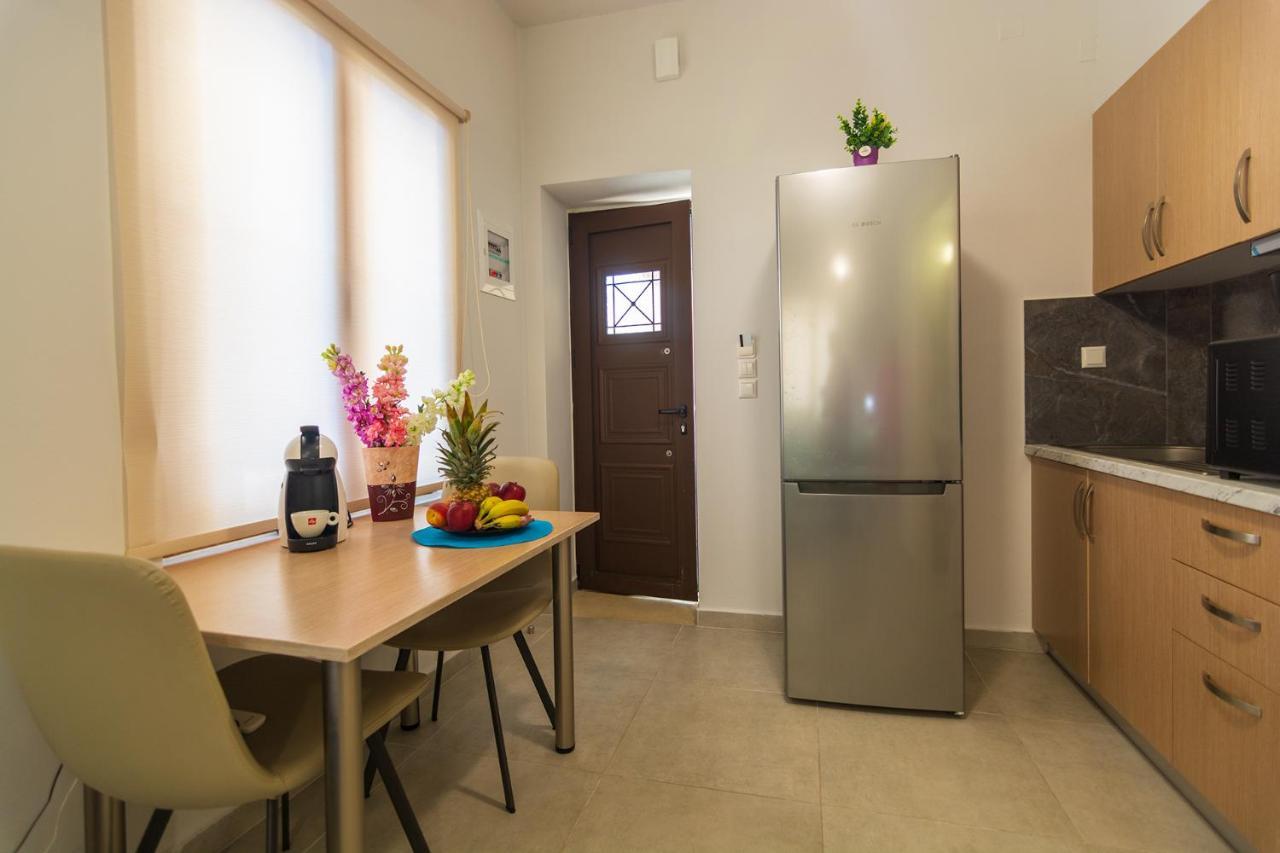 Apolafsi Apartments 1New With Kitchen 干尼亞 外观 照片